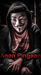Anon_Pingeon